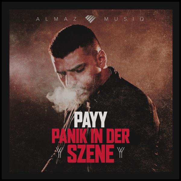 Album cover art for Panik in der Szene