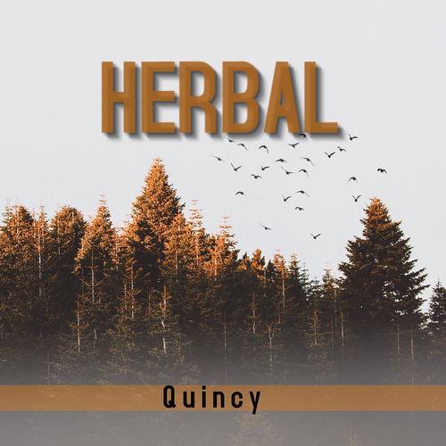 Album cover art for Herbal