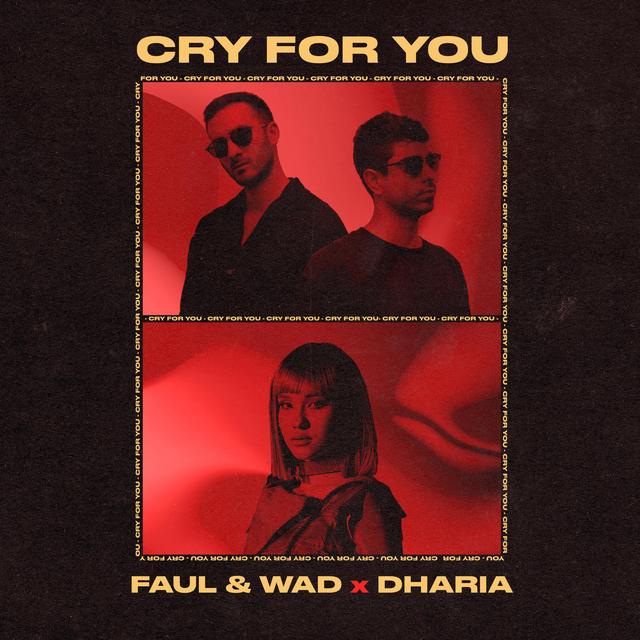 Album cover art for Cry for You