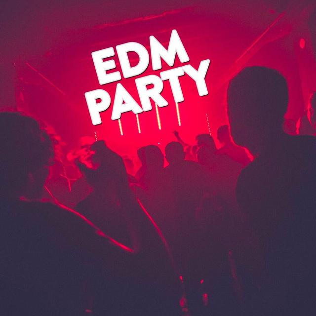 Album cover art for EDM Party