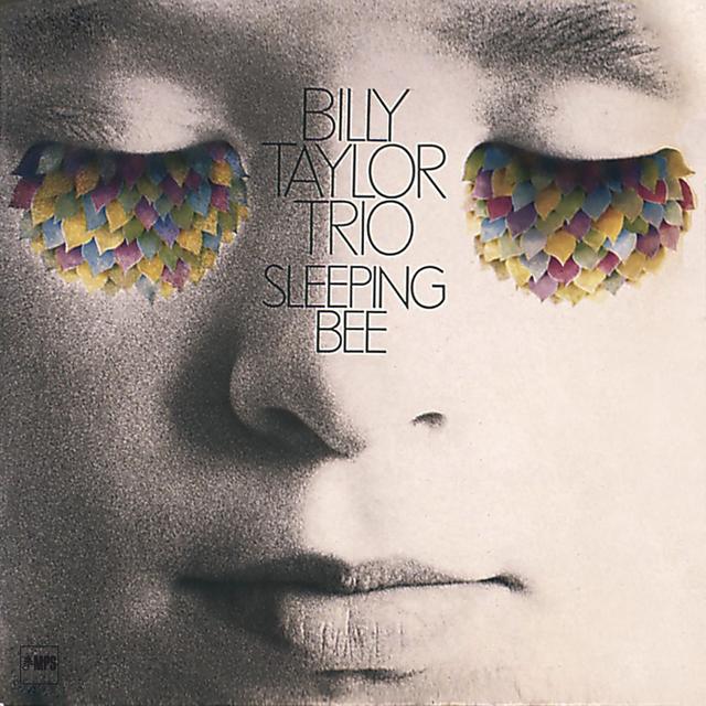 Album cover art for Sleeping Bee