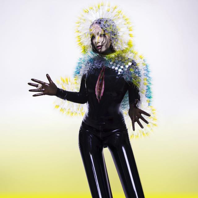 Album cover art for Vulnicura