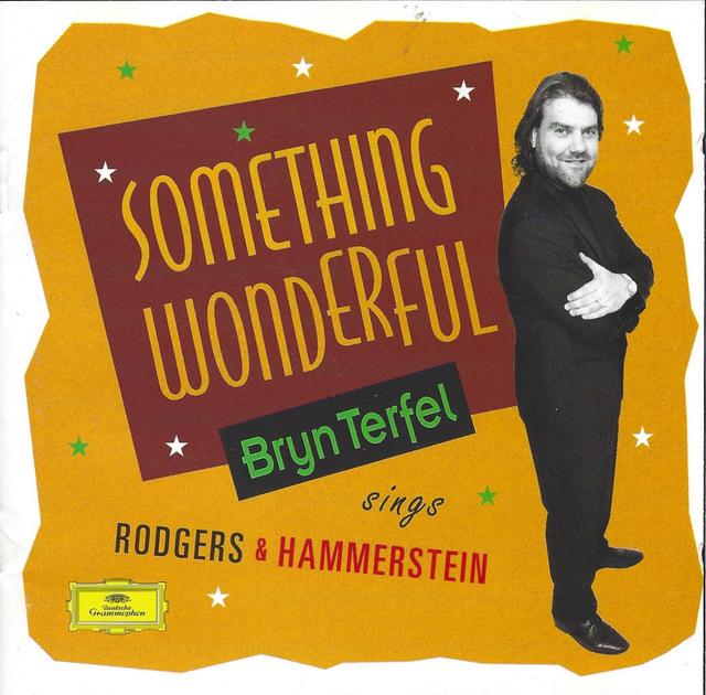 Album cover art for Something Wonderful