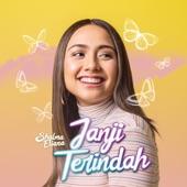 Album cover art for Janji Terindah