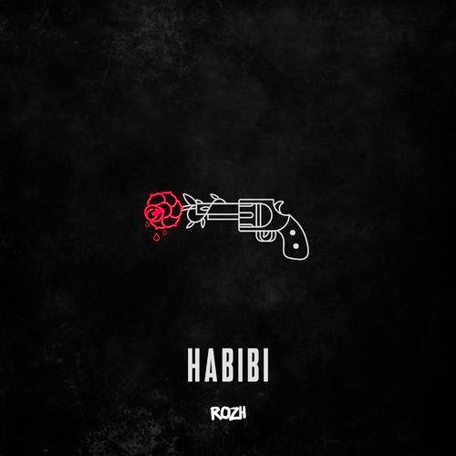 Album cover art for Habibi