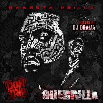 Album cover art for Guerrilla