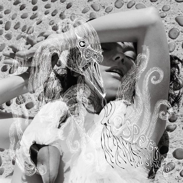 Album cover art for Vespertine