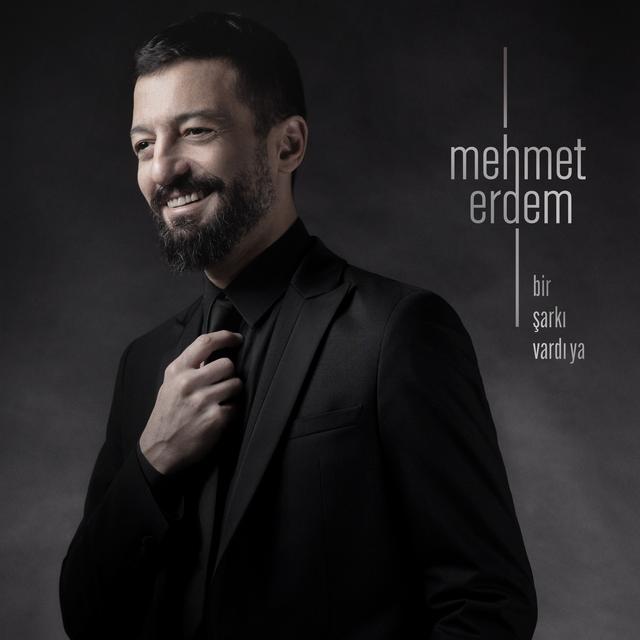 Album cover art for bir şarkı vardı ya