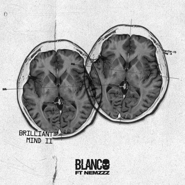 Album cover art for Brilliant Mind II