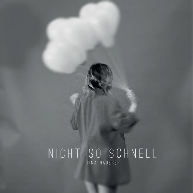 Album cover art for Nicht so schnell