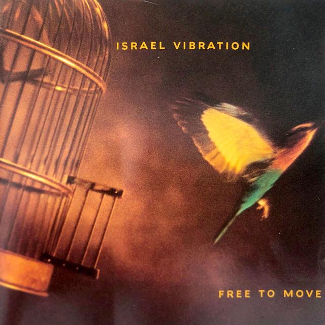 Album cover art for Free to Move