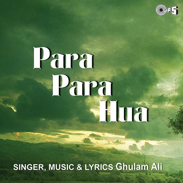 Album cover art for Para Para Hua