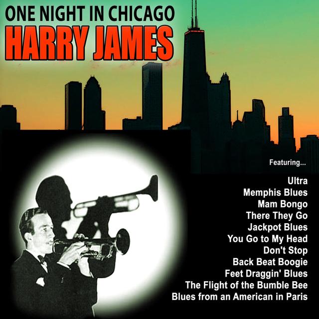 Album cover art for One Night In Chicago