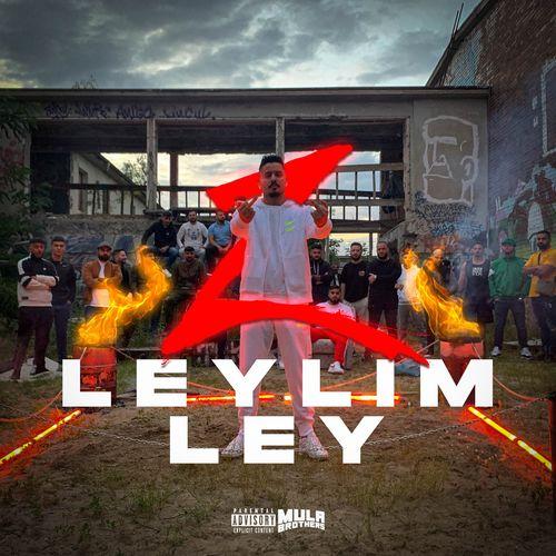 Album cover art for LEYLIM LEY