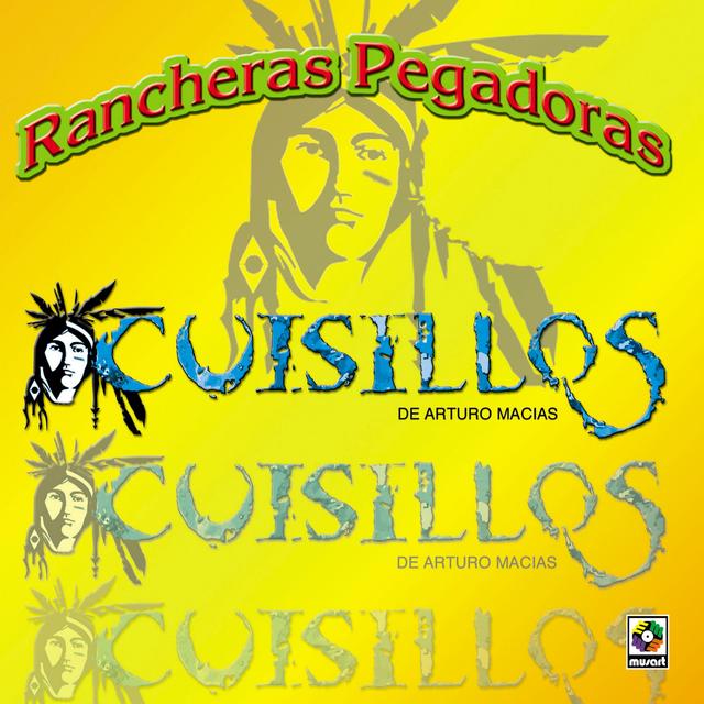 Album cover art for Rancheras Pegadoras