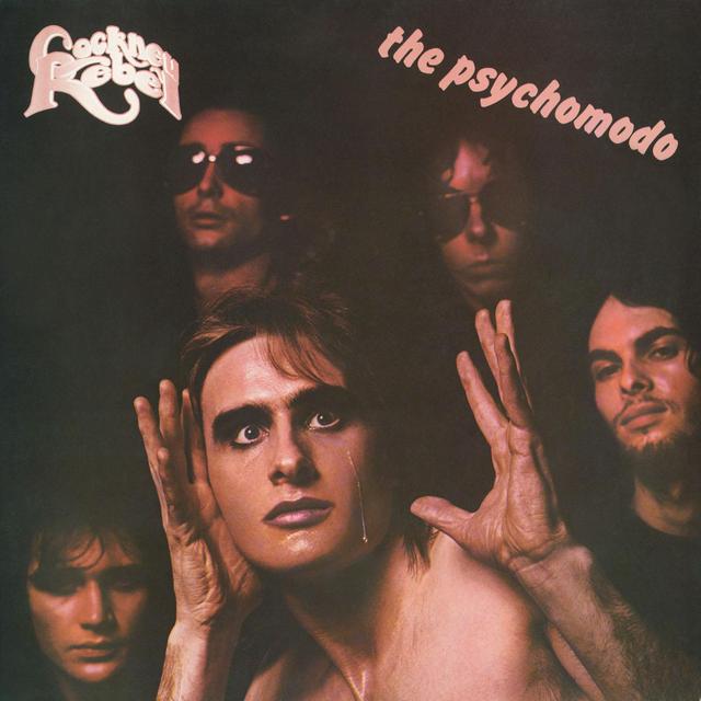 Album cover art for The Psychomodo