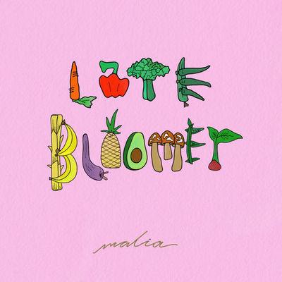 Album cover art for Late Bloomer