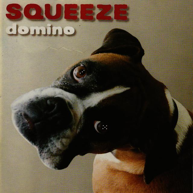 Album cover art for Domino