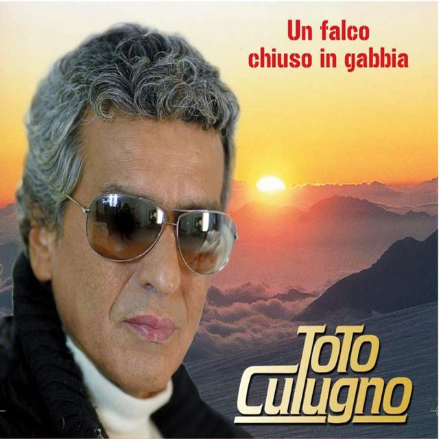 Album cover art for Un Falco Chiuso in Gabbia