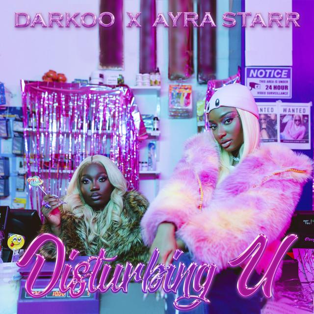 Album cover art for Disturbing U