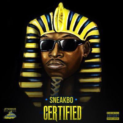 Album cover art for Certified