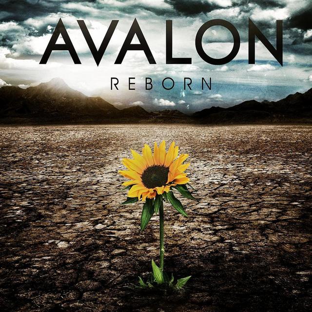 Album cover art for Reborn