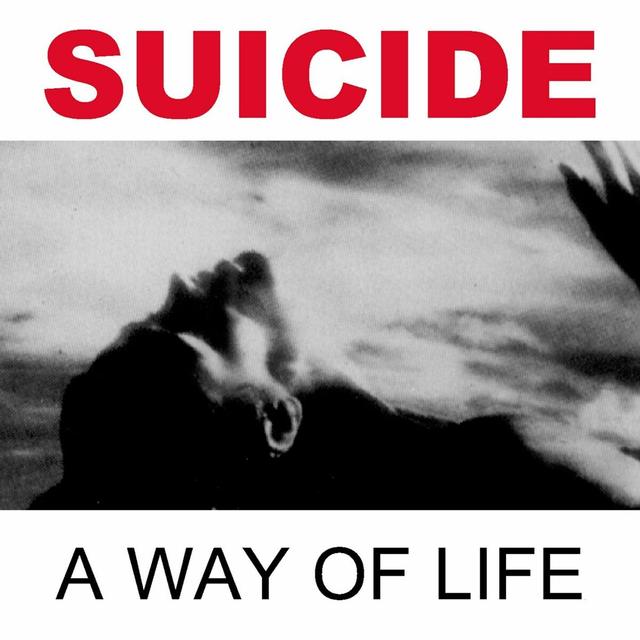 Album cover art for A Way Of Life