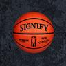 SIGNIFY (English)