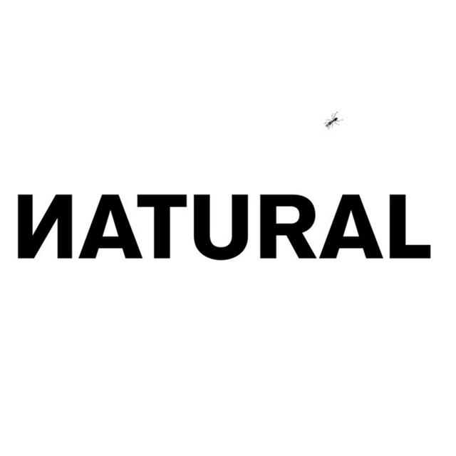 Album cover art for Natural