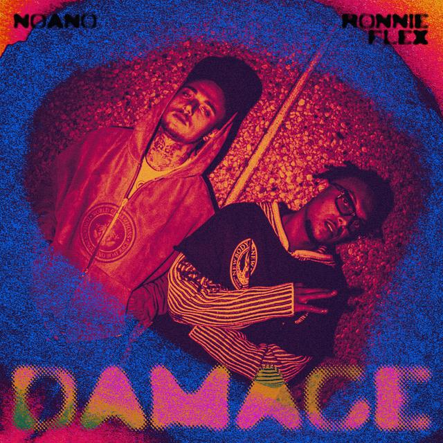 Album cover art for Damage