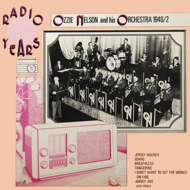 Album cover art for Radio Years