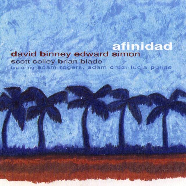 Album cover art for Afinidad