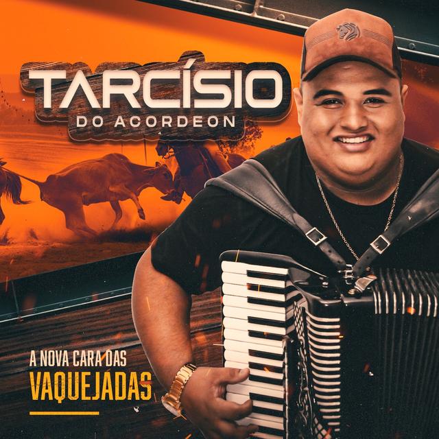 Album cover art for A Nova Cara das Vaquejadas