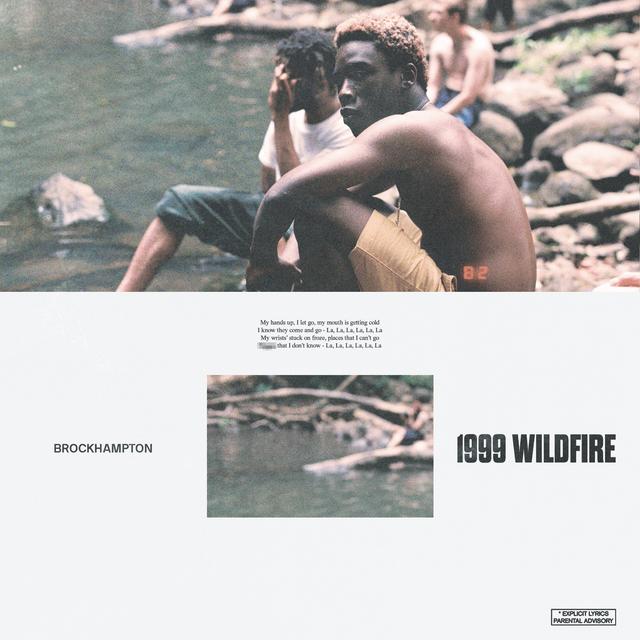 Album cover art for 1999 Wildfire