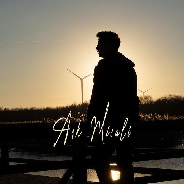 Album cover art for Aşk Misali