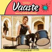 Album cover art for Vaaste