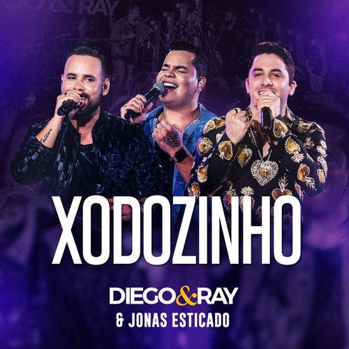 Album cover art for Xodozinho