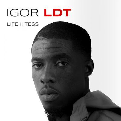 Album cover art for Life II tess