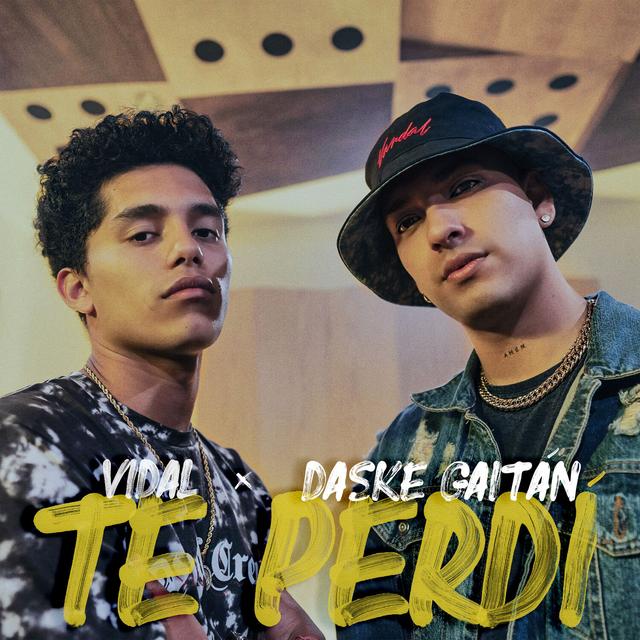 Album cover art for Te Perdí