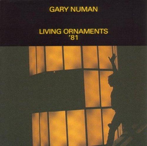 Album cover art for Living Ornaments '81