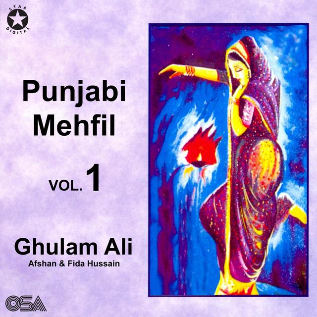 Album cover art for Punjabi Mehfil