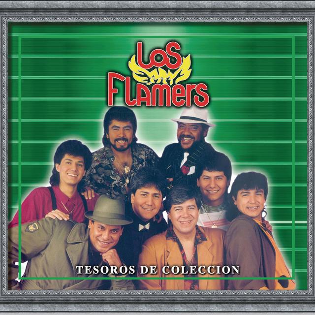 Album cover art for Tesoros De Coleccion - Los Flamers