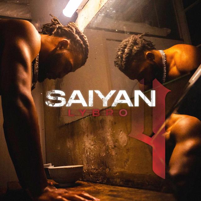 Album cover art for Saiyan 4