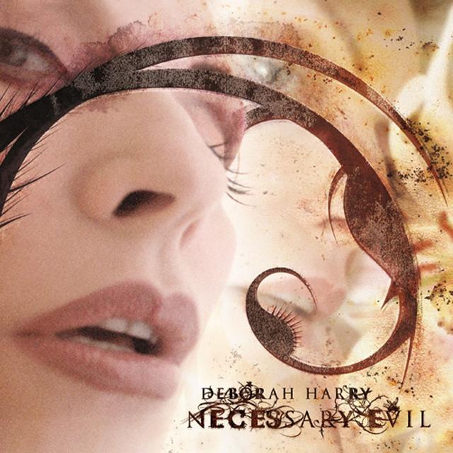 Album cover art for Necessary Evil