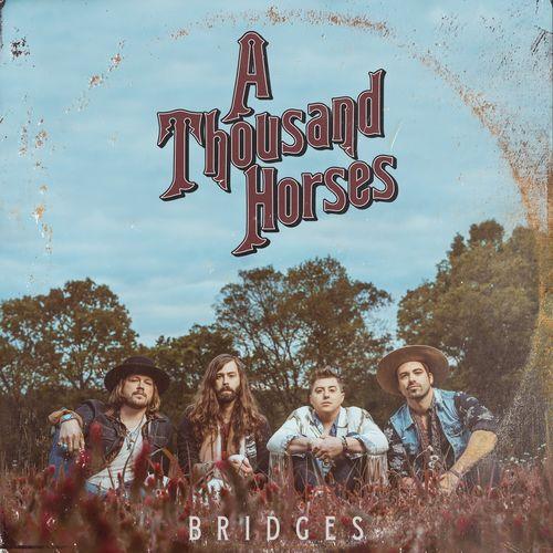 Album cover art for Bridges