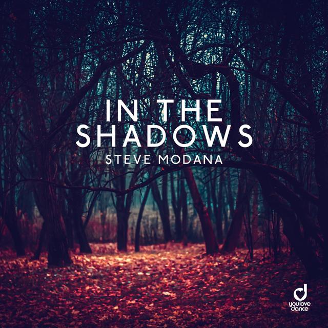 Album cover art for In the Shadows