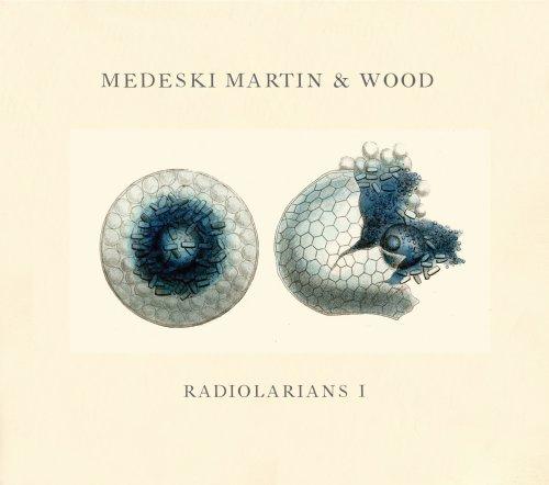 Album cover art for Radiolarians 1