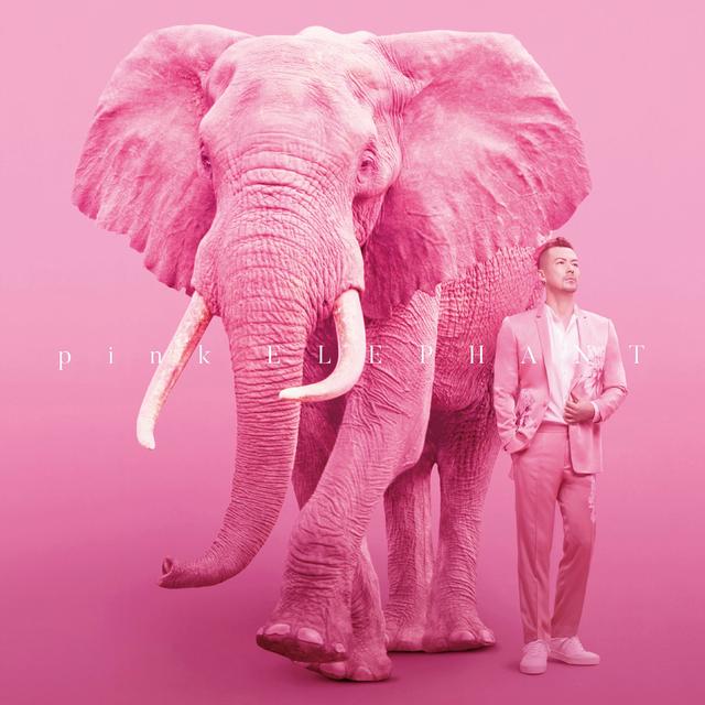 Album cover art for Pink Elephant