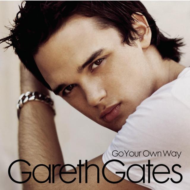 Album cover art for Go Your Own Way