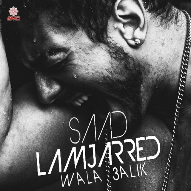 Album cover art for Wala Alik